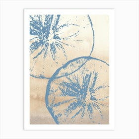 Blue And White Art Print