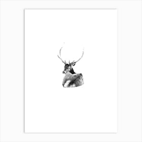 Elk Boho Minimalist Art Print Black and White Art Print
