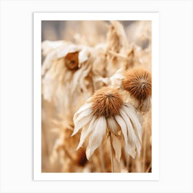 Boho Dried Flowers Sunflower 3 Art Print