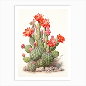 Vintage Cactus Illustration Woolly Torch Cactus 1 Art Print