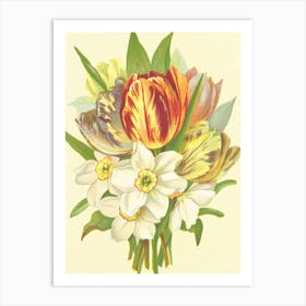 Tulips And Daffodils Art Print