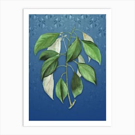 Vintage Camphor Tree Botanical on Bahama Blue Pattern n.1184 Art Print