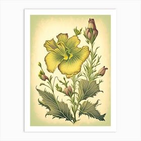 Evening Primrose Wildflower Vintage Botanical 2 Art Print