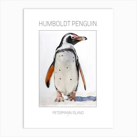Humboldt Penguin Petermann Island Watercolour Painting 6 Poster Art Print