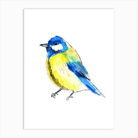 Blue Tit Art Print