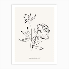 Peony Collection Art Print