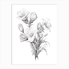 Freesias Flower Vintage Botanical 3 Art Print