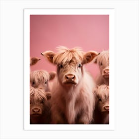 Pink Portrait Of Baby Highland Cows Art Print