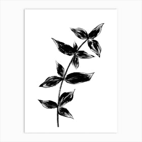 Black Plant Two Art Print