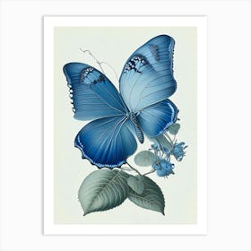 Holly Blue Butterfly Retro Illustration 3 Art Print