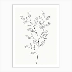 Leafy Branch Art Print