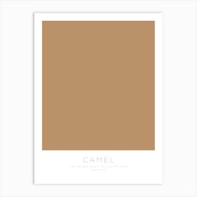 The Colour Block Collection - Camel Art Print