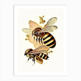 Wax Bees 1 Vintage Art Print