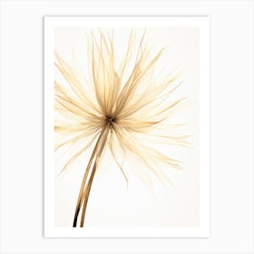 Dandelion Art Print