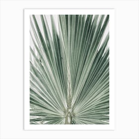 Palm Tree 5 Art Print