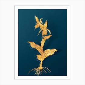 Vintage Lady's Slipper Orchid Botanical in Gold on Teal Blue Art Print