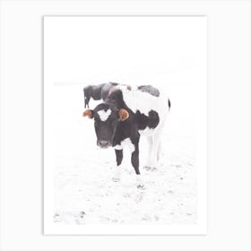 Winter Cow Art Print