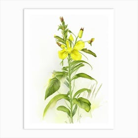 Fringed Loosestrife Wildflower Watercolour Art Print