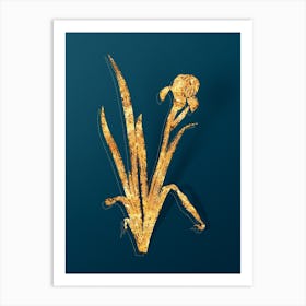 Vintage Crimean Iris Botanical in Gold on Teal Blue n.0267 Art Print