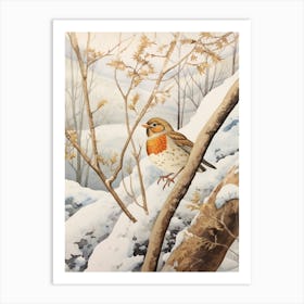 Bird Illustration Hermit Thrush 3 Art Print