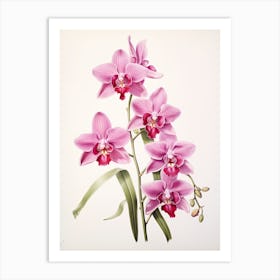 Orchids Flower Vintage Botanical 1 Art Print