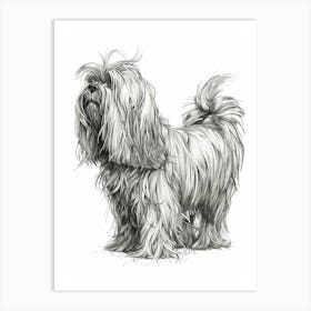 Lowchen Dog Line Sketch Art Print