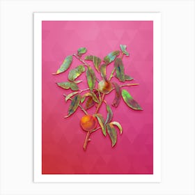Vintage Peach Botanical Art on Beetroot Purple Art Print