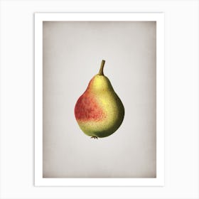 Vintage Pear Botanical on Parchment n.0833 Art Print