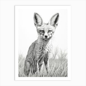 Bengal Fox In A Field Pencil Drawing 2 Art Print