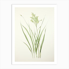 Lemon Grass Vintage Botanical Herbs 0 Art Print