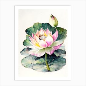 Blooming Lotus Flower In Pond Watercolour Ink Pencil 3 Art Print