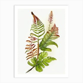 Cinnamon Fern Wildflower Watercolour 1 Art Print