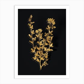 Vintage Yellow Jasmine Flowers Botanical in Gold on Black n.0246 Art Print