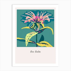 Bee Balm 2 Square Flower Illustration Poster Art Print