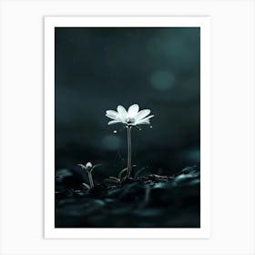 White Flower In The Rain Art Print