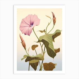 Floral Illustration Morning Glory 2 Art Print