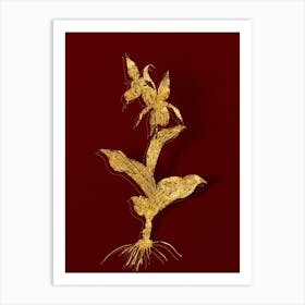 Vintage Lady's Slipper Orchid Botanical in Gold on Red n.0415 Art Print