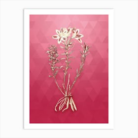 Vintage Lily of the Incas Botanical in Gold on Viva Magenta n.0307 Art Print