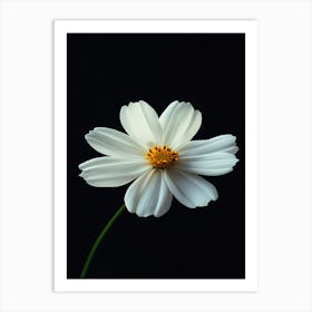 White Flower 13 Art Print