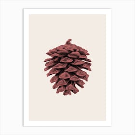 Red Pine Cone Art Print