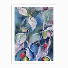 Gooseberry 2 Classic Fruit Art Print