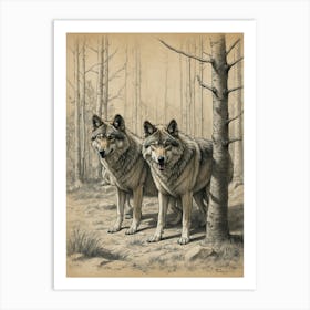 Two Wolves In The Woods Art Print