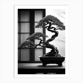 Bonsai Tree Elegantly Poised Ensconced Within A Tranquil Minimalist Setting Delicate Leaves Cascad Art Print