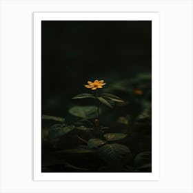 Single Yellow Flower 42 Art Print