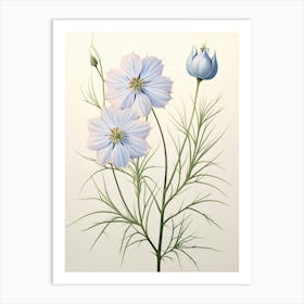 Floral Illustration Love In A Mist Nigella 1 Art Print