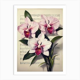 Orchids On Music Sheet Art Print