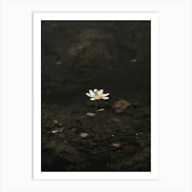 Lotus Flower 31 Art Print