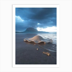 Shell On The Beach Art Print