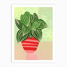 Big Leaf Potted Plant Art Print