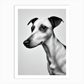 Rat Terrier B&W Pencil Dog Art Print